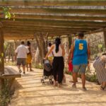 Copia de Copia de WhatsApp Image 2019-05-24 at 6.48.03 AM (2)