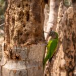 Copia de Copia de WhatsApp Image 2019-05-24 at 6.48.03 AM (4)