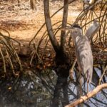 Copia de Copia de WhatsApp Image 2019-05-24 at 6.48.03 AM (7)