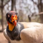 WhatsApp Image 2019-05-24 at 6.48.35 AM