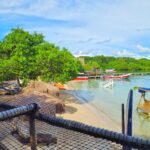 Copia de 1669653884382