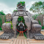 Copia de ENTRADA AREA VIP