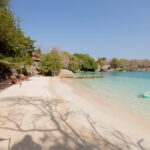 WhatsApp Image 2022-04-25 at 12.25.21 PM