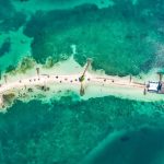 downloadgram.org_481963578_18305937484235921_8936702762488414219_n