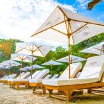 IMG-20240314-WA0026 (1)