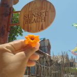 IMG-20240915-WA0022 (1)