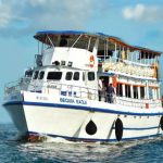 WhatsApp Image 2022-07-28 at 12.06.03 PM (2) (1)